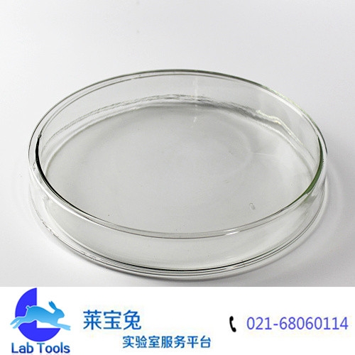 玻璃培养皿180MM培养皿 细菌培养皿 玻璃平皿 组织培养皿生物实验