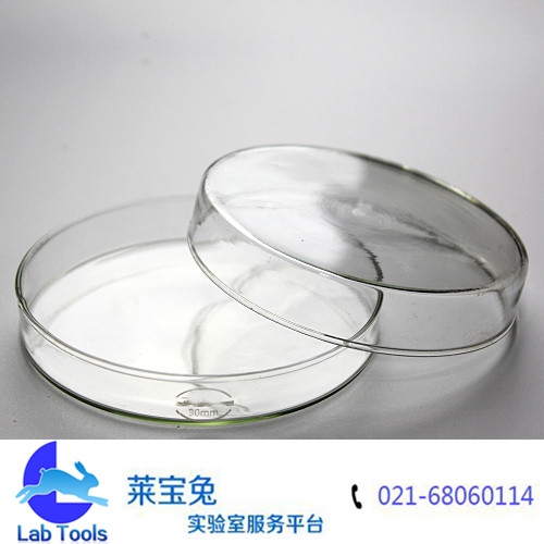 玻璃培养皿90MM培养皿 细菌培养皿 玻璃平皿 组织培养皿 生物实验