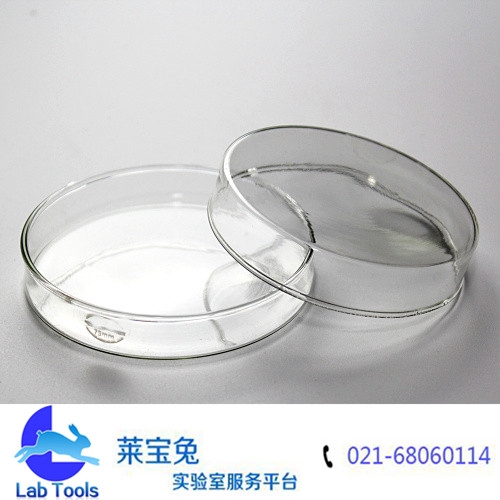 玻璃培养皿75MM培养皿 细菌培养皿 玻璃平皿 组织培养皿 生物实验